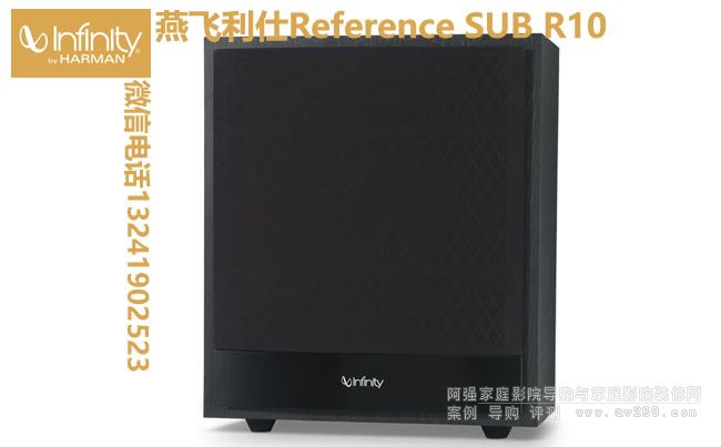 ���w����R10������ Infinity Reference R10