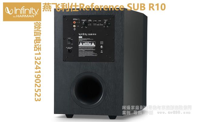 ���w����R10������ Infinity Reference R10