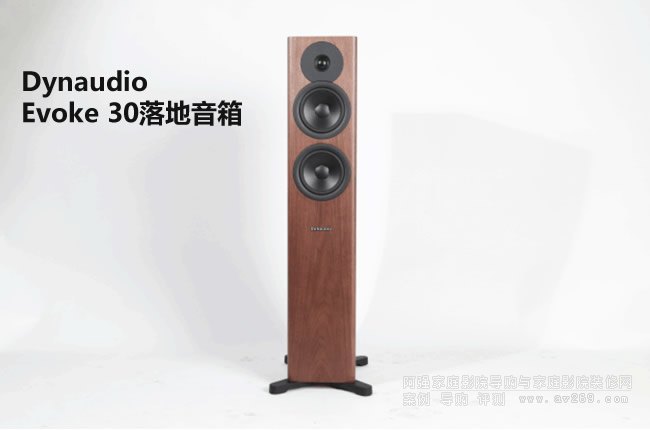 ���� Dynaudio Evoke 30�����u�y