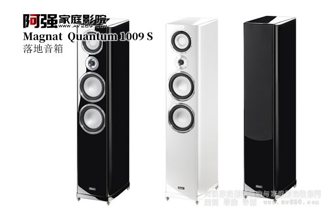 ������ Quantum 1009S�������