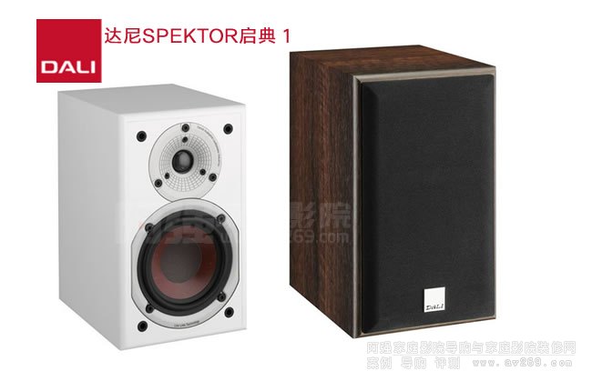 DALI SPEKTOR1 �_�ᆢ��1��������