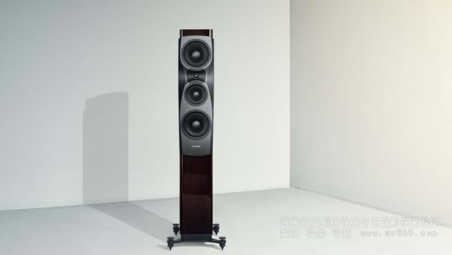 Dynaudio Confidence 30��������30�������