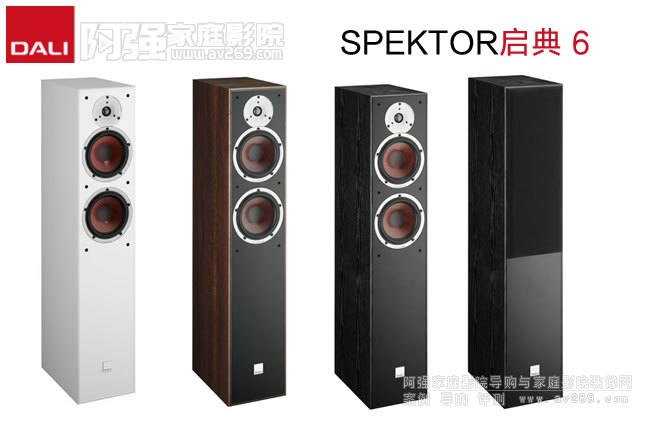 �����_(d��)��SPEKTOR���� 6��������B
