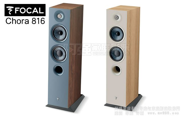��������FOCAL Chora 816����������B