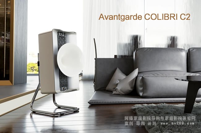 �����Ȼ�Avantgarde COLIBRI C2�����B