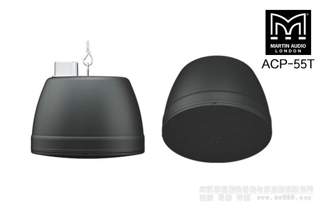 Ӣ������ACP-55T������MARTIN AUDIO 5.25��ҵ��P��