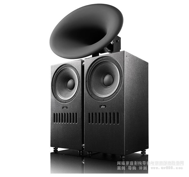 ��˹�D��Ş̖������THE BLACK SWAN ACTIVE EXT RC
