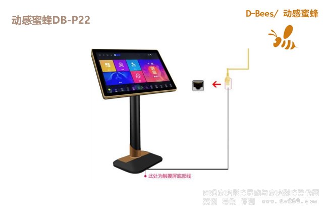 �Ӹ��۷�D-Bees DB-P22 �c���|������22�磩